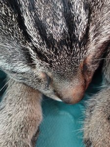 DSC06759 (480x640).jpg