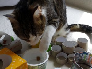 DSC06327 (640x480).jpg