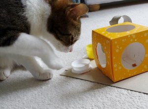 DSC06330 (640x471).jpg