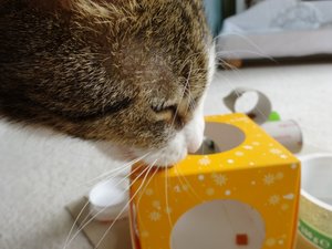 DSC06334 (640x480).jpg