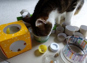 DSC06328 (640x465).jpg