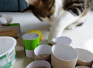 DSC06335 (640x468).jpg