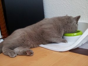 Gerry nach Kastra.jpg