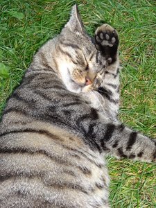 DSC01193 (480x640).jpg