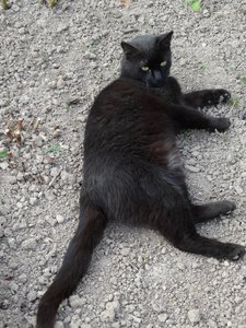 DSC00544 (480x640).jpg