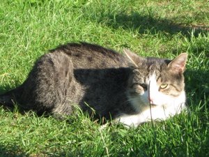 IMG_0782 (640x480).jpg