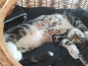 2012-09-04 16.10.09.jpg