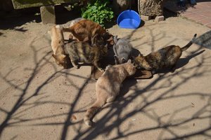 Gruppe_Michele (2).jpg