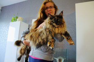 Loli Dosi (Large).JPG