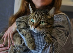 Kiara Dosi (Large).JPG