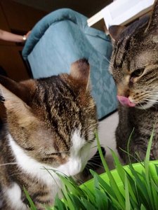 DSC07522 (480x640).jpg