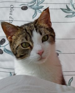 DSC07905 (512x640).jpg