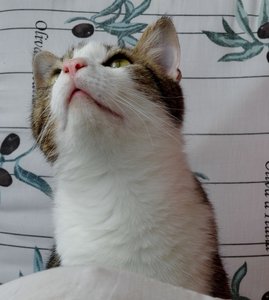 DSC07903 (573x640).jpg