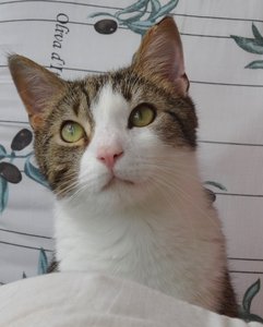 DSC07901 (513x640).jpg