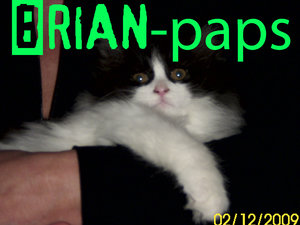 Brian-paps.jpg