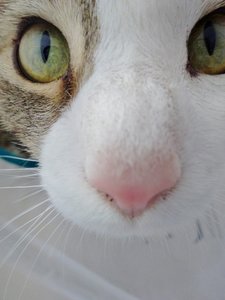 DSC07942 (480x640).jpg