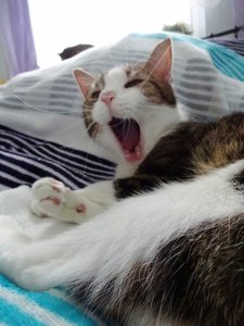 DSC07980 (480x640).jpg