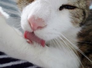 DSC08005 (640x473).jpg