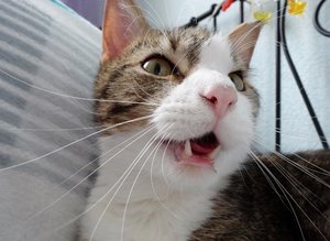 DSC08009 (640x467).jpg