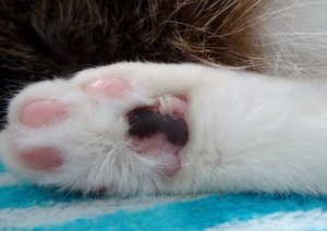 DSC08013 (640x452).jpg