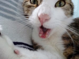 DSC08008 (640x480).jpg