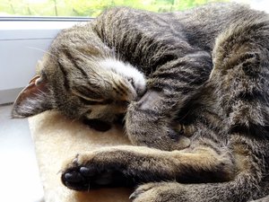 DSC08033 (640x480).jpg