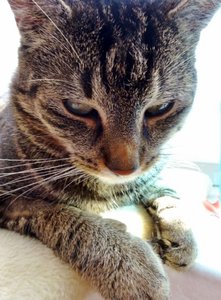 DSC08079 (480x640).jpg