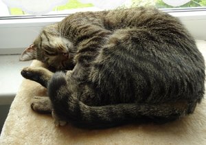 DSC08036 (640x450).jpg