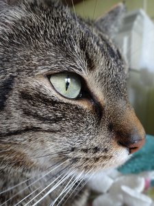 DSC08202 (480x640).jpg