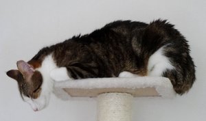 DSC08122 (640x376).jpg