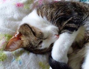 DSC08111 (640x491).jpg