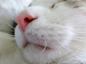 DSC08119 (640x480).jpg