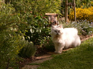 gedicht droste hülstoff und Mai 002.JPG