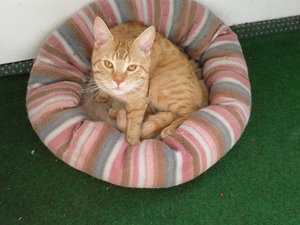 lou 24520140401_153138.jpg