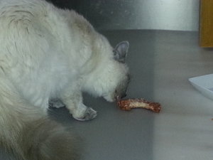 Xynthija und der erste Hühnerhals.jpg