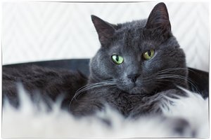 IMG_6365 PNG OHNE Logo.jpg