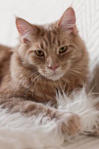 IMG_6492 FINAL OHNE Logo PNG.jpg