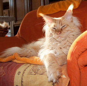 T-Jay 2 Jahre 2 Monate.jpg