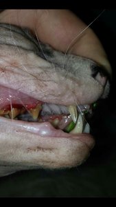 uploadfromtaptalk1401309529793.jpg uploadfromtaptalk1401309529793.jpg