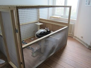 IMG_1843 - Kopie.JPG