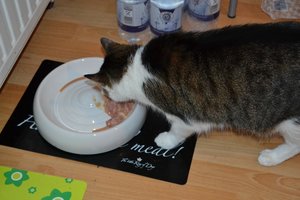 Lucky_Kitty_Napf.jpg