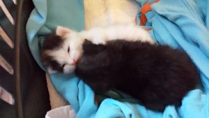 2014-05-01 20.01.36.jpg