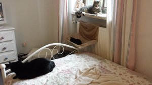 2014-05-28 18.26.40.jpg