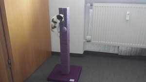 2014-05-28 16.00.12.jpg