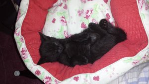 2014-05-29 20.20.57.jpg