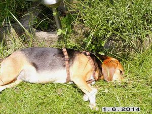 Issis Lieblingsposition.jpg