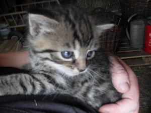 SDC13530 (1024x768).jpg