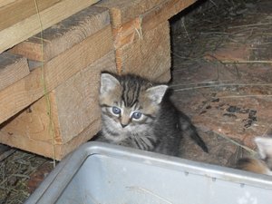 SDC13512 (1024x768).jpg