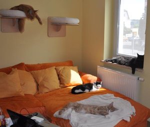 Ankunft T-Jay und Van 428.jpg