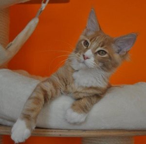 Ankunft T-Jay und Van 537.jpg